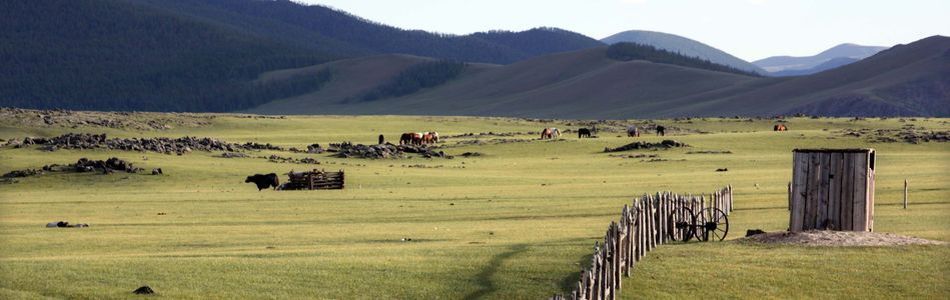 Mongolei - Reisen durch weite Steppen