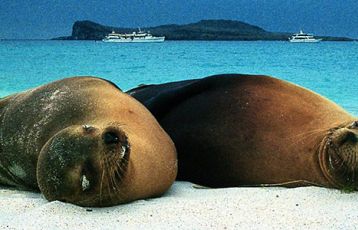 Facettenreiches Ecuador: Vulkanwelten & Tierparadies Galapagos