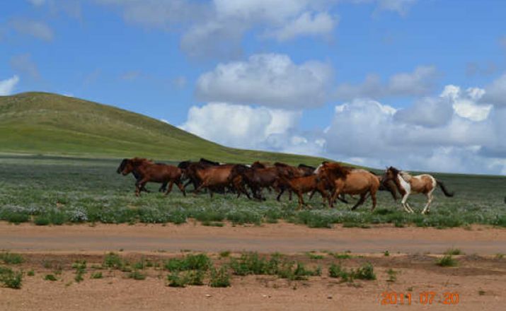 Auf Tuchfühlung mit der Monglischen Steppe Mongoleitravel 1