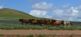 Auf Tuchfühlung mit der Monglischen Steppe Mongoleitravel 2