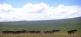 Auf Tuchfühlung mit der Monglischen Steppe Mongoleitravel 5