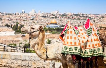 Jerusalem Kulturreisen 8 Tage ab 0 €