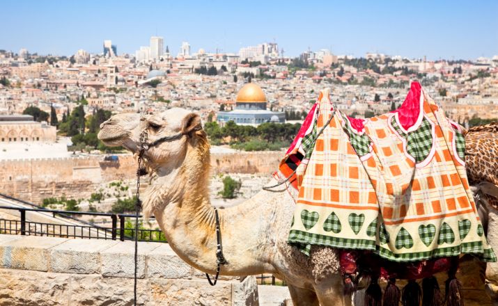 ISRAEL - Begegnungen mit Israel und Palästina Shalom Israel Reisen 1