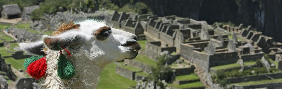 Inkastadt Machu Picchu