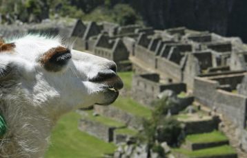 Inkastadt Machu Picchu