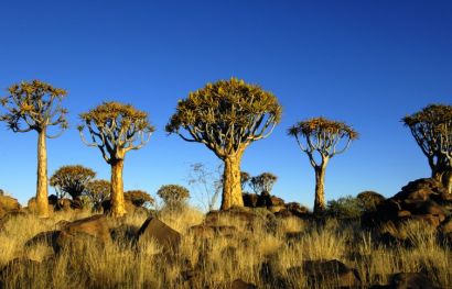 Namibia Selbstfahrer Rundreise: 