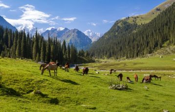Kirgistan Privatreisen 15 Tage ab 0 €