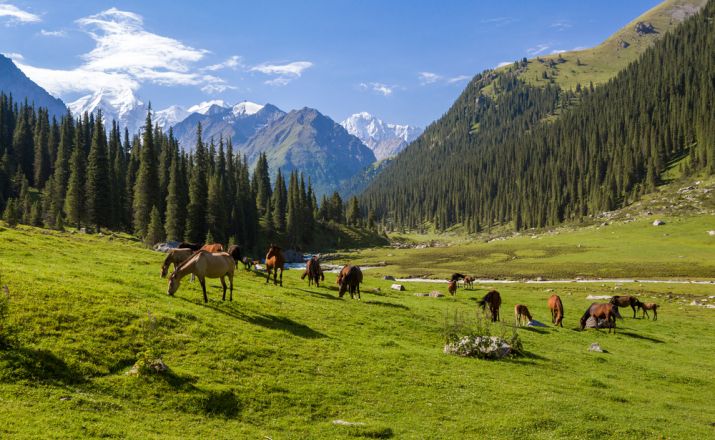 Kirgisien Nomaden und Jurtenreise Dimsum Reisen 1