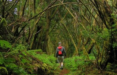 Wanderung durch den Lorbeer- und Heidewald auf El Hierro