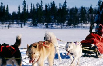 Schweden - Majestätisches Hochfjäll