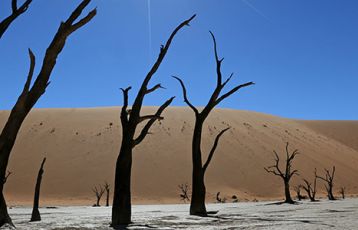 Namibia - Höhepunkte Namibias