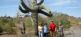 Southwest Adventure - USA Urlaub Suedwesten Travel Dream West Tours 13