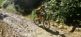 Biketouren und Fahrradreisen in der Dominikanischen Republik - Adventure Mountainbike Karibiktravel 12