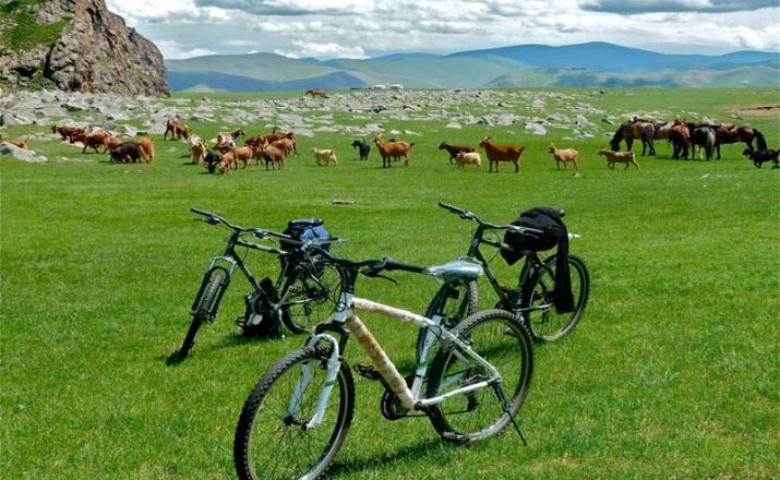 Mongolei-Radreise-Steppe