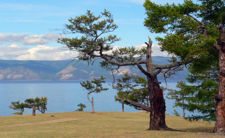 biss Aktivreisen-Baikalsee-Sibirien-Insel Olchon