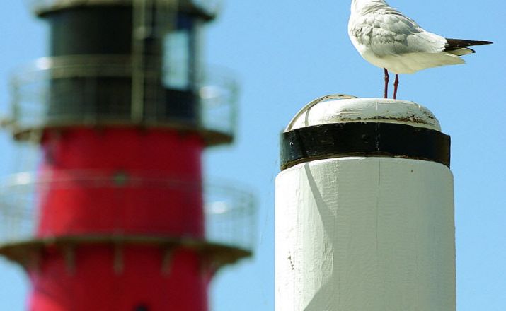 Radreisen für Singles an der Nordsee Solos Single- und Erlebnisreisen 1