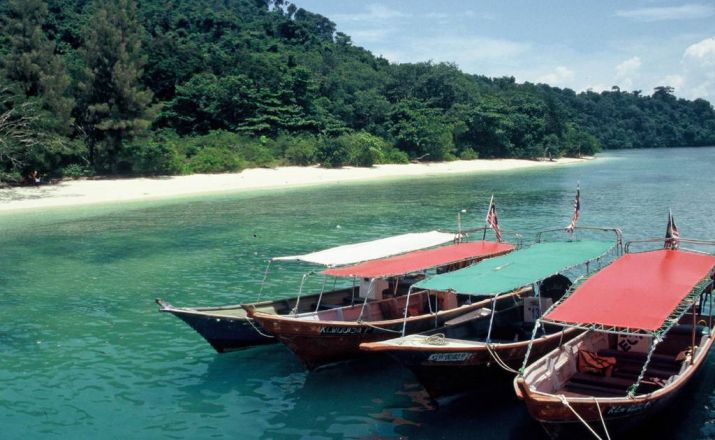 Traumziel Borneo Bibi Tours 1