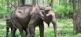 Nationalpark - Safari - 17 Tage Rundreise Nordindien Bibi Tours 3