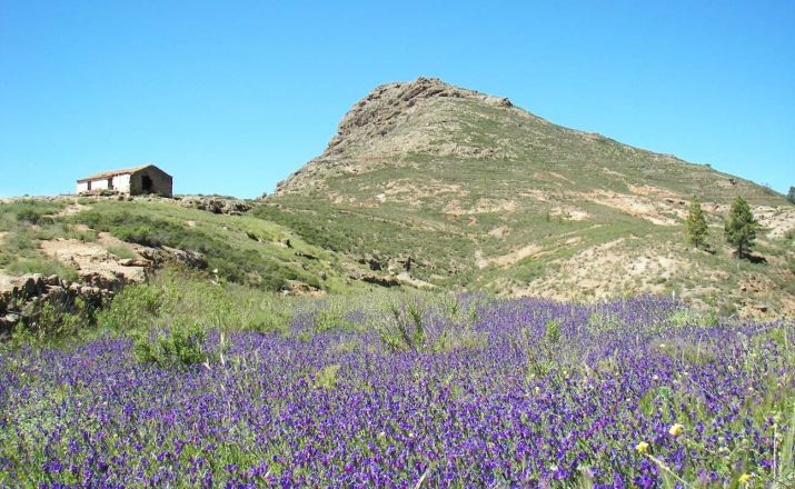 Landschaft Teneriffa