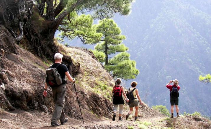 Wandern Teneriffa