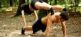 Fitnesscamp Fit Für Zwei Nature Fitness Camp 7