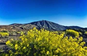 Teide Teneriffa