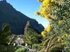 Masca Teneriffa