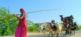 Bezauberndes Rajasthan per Fahrrad Chalo Reisen 8