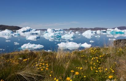 Naturwunder Grönlands und Island