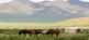 Entdecken Sie die Mongolei mit Ihrer Familie Fairaway Travel GmbH 4