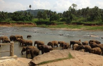 Sri Lanka Privatreisen 14 Tage ab 1.889 €
