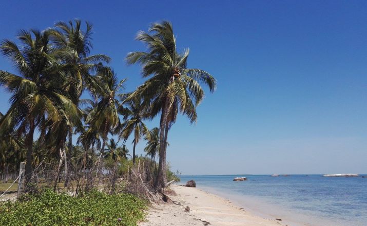 Die ganze Vielfalt Sri Lankas TerraVista Erlebnisreisen 1