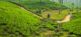 12 Tage Sri Lanka entdecken! Fairaway Travel GmbH 5