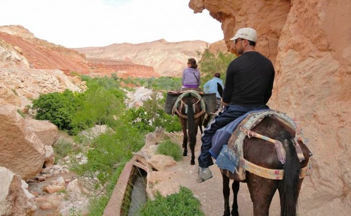 Wandern im Tal der Rosen - 8 Tage Dein Marokko 1