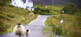 Meet the Sheep - Mietwagen Rundreise Irland ZeitRäume Reisen Individual 3