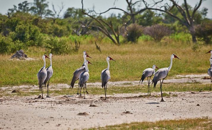 Safariromantik in Botswana - Kleingruppenreise Abendsonne Afrika GmbH 1