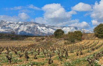 Kulinarische Nächte in Spanien