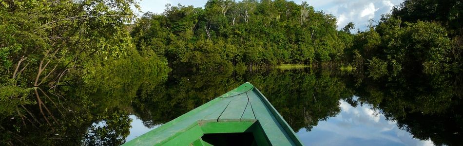 Brasilianischer Regenwald