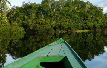 Regenwald und brasilianischer Barock