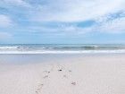 Playa del Carmen