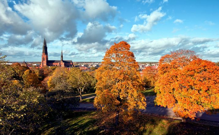 Schweden - Sommerreise durch den traumhaften Süden Oasis Travel 1