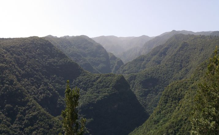 Best La Palma Wandern - Trekkingtour auf der grünsten Kanareninsel MITourA GmbH 1