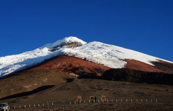 Ecuador Gruppenreisen 21 Tage ab 0 €