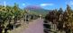 Blick auf den Vesuv