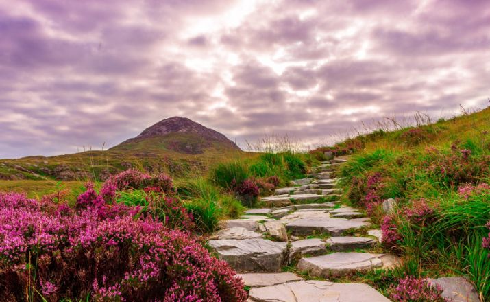 Connemara Nationalpark