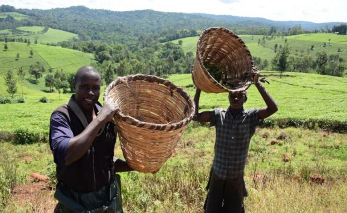 Die Ganze Schönheit Ugandas