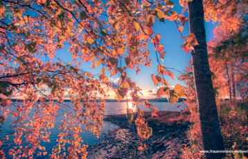 Bunter Herbst in Finnland
