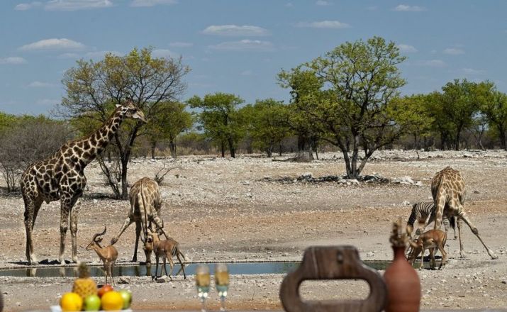 Namibia Classic Afrikarma GmbH 1