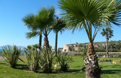 Singlereise in die andalusische Sonne