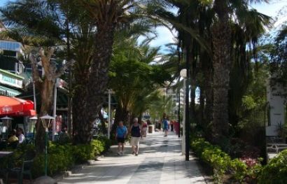 Singleurlaub in der Sonne - Teneriffa für 60+